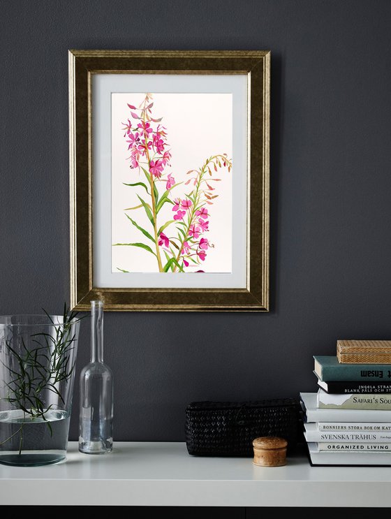 Fireweed in Watercolor