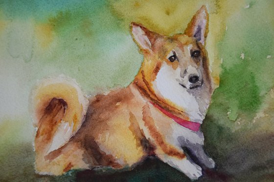 Corgi watercolor painting, dog portrait, animalistic wall art