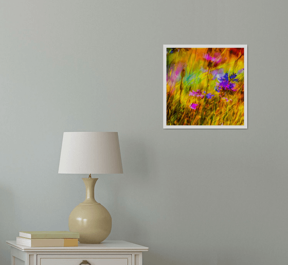 Summer Meadows #10. Limited Edition 1/25 12x12 inch Abstract Photographic Print.