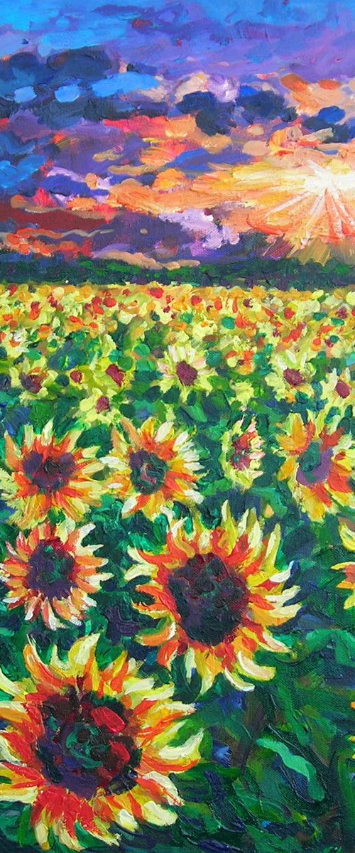 Sunflowers by Maja Grecic