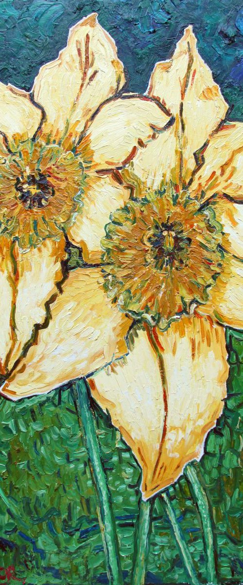 Two large daffodils by Richard Meyer