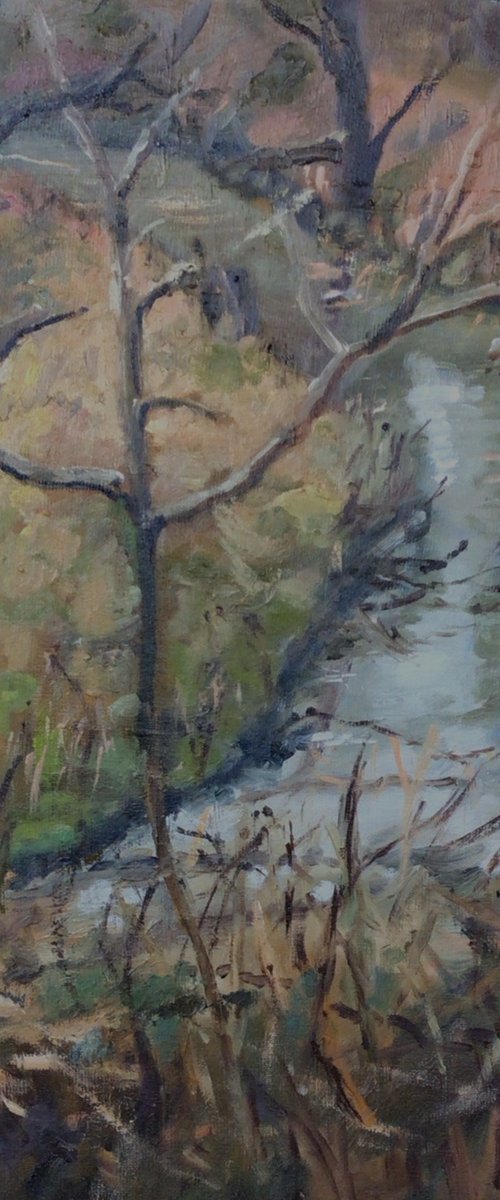 February in the forest by Julian Lovegrove Art