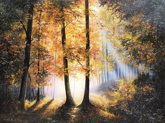 Forest of Radiance
