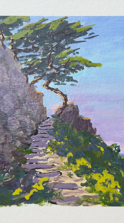 Point Lobos Trail Steps by Tatyana Fogarty