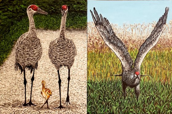 Sandhill Crane Diptych