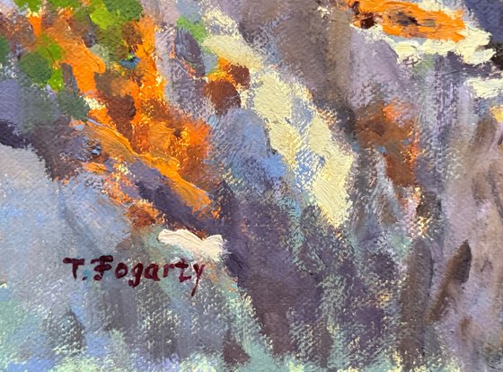 Violet Shadows, Rocky Point