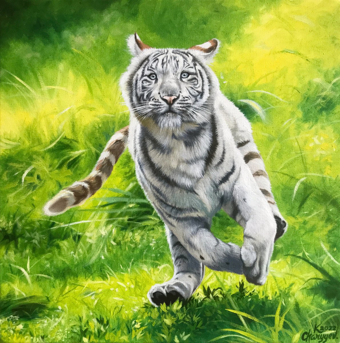 Tiger cub by Kakajan Charyyev