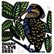 DWARF OLIVE IBIS by Laurel Macdonald