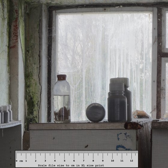 #35. Pripyat Kindergarten laboratory 1 - XL size