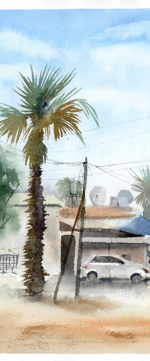 Palm and Shadows by Olga Tchefranov (Shefranov)