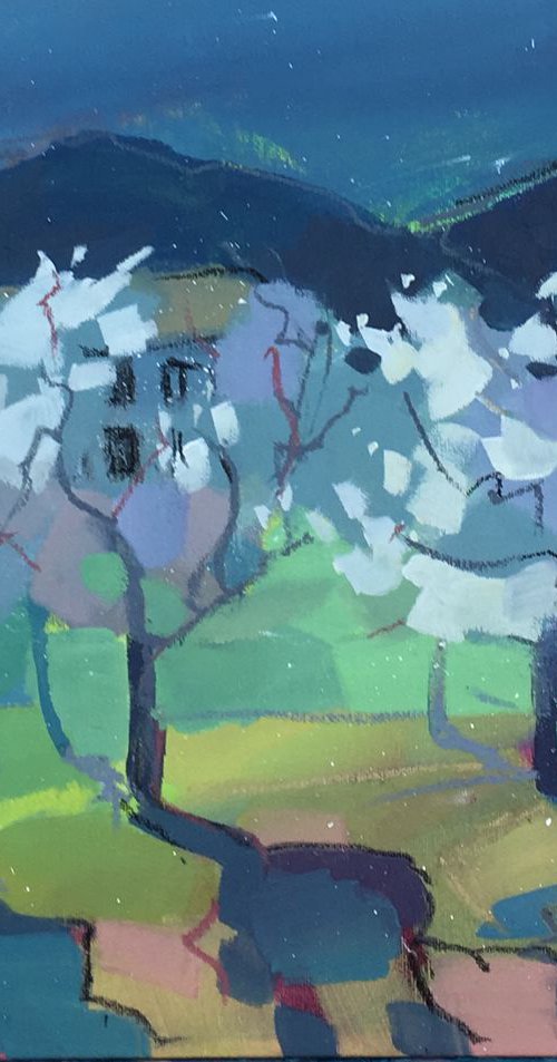 Almond Orchard at Dusk by Diana Davydova