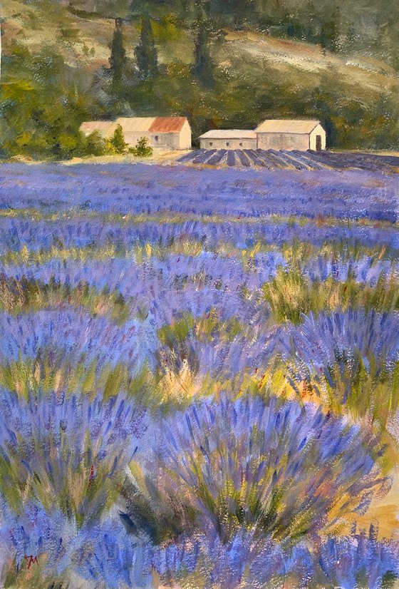 Provence