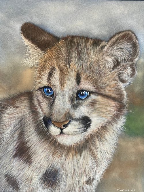 Cougar cub by Maxine Taylor