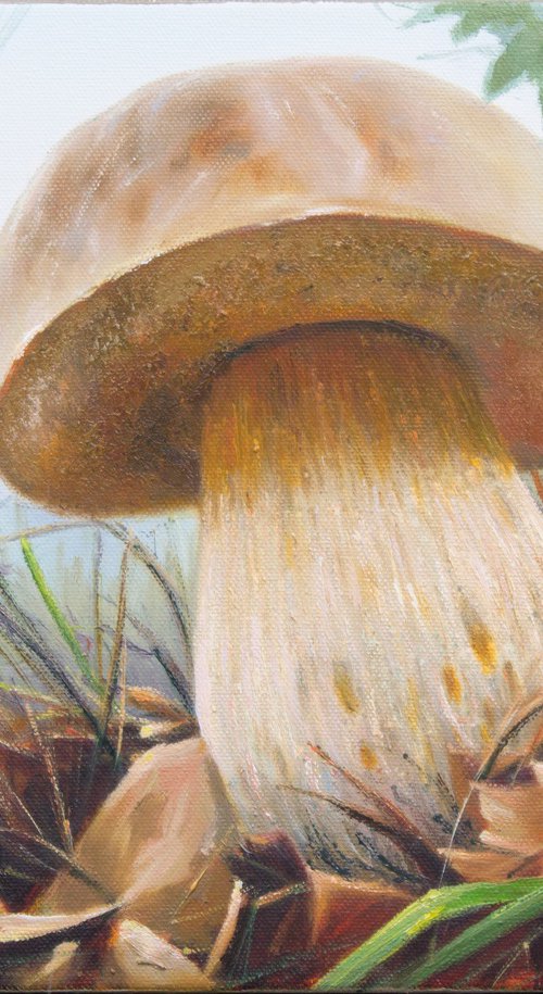 Mushroom. The white one by Dmitrij Tikhov