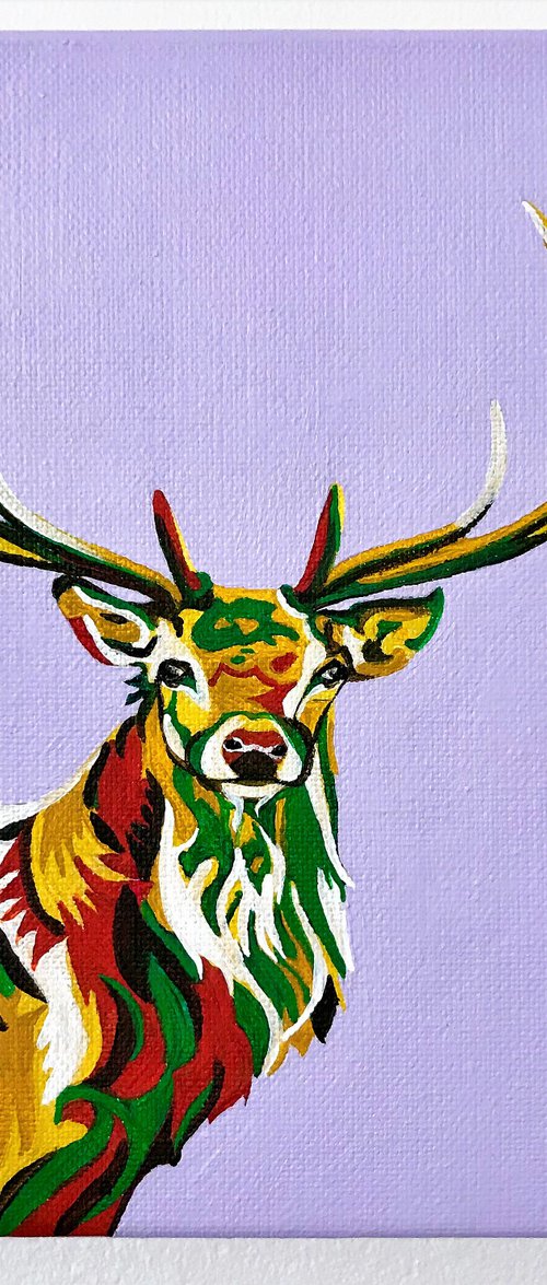 BUCK by Lucyanne Terni