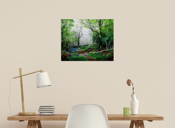 Forest Ways and Bluebell Days