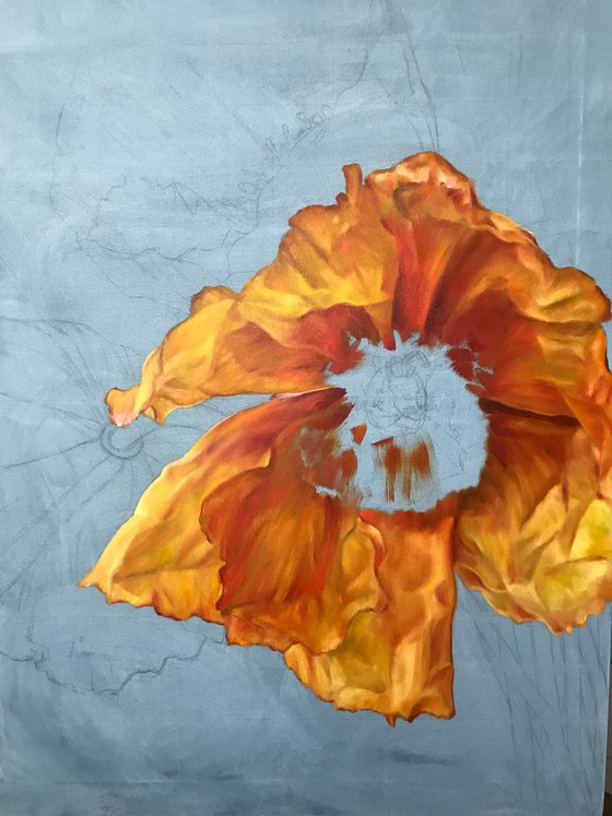 Original oil painting with poppies "Charm" 60*80 cm