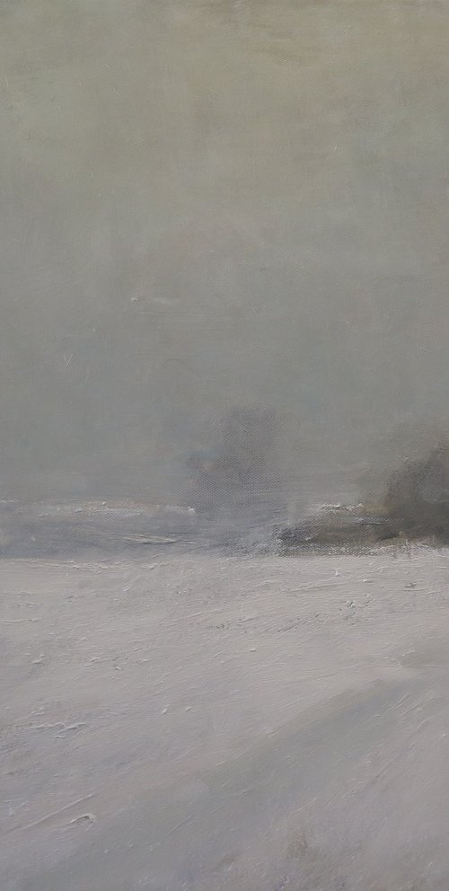 First Snow by Malcolm Ludvigsen