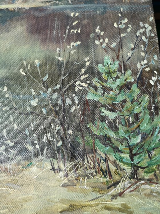 Willow blossoms.