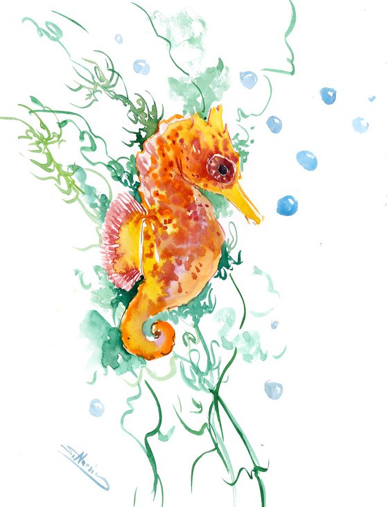 Seahorse