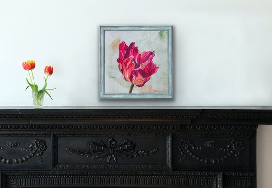 Framed Pink Tulip