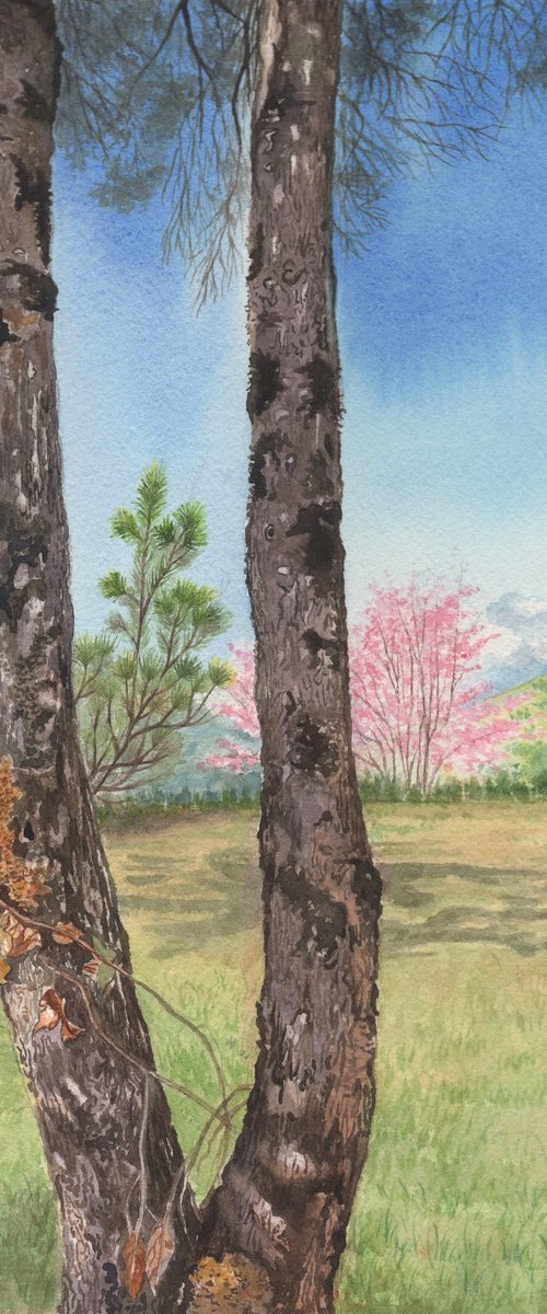 Himalayan Pine Tree by Shweta Mahajan