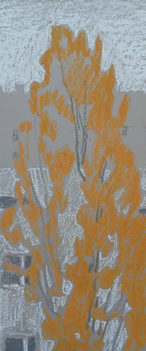 Grey Day by Vasyl Koval