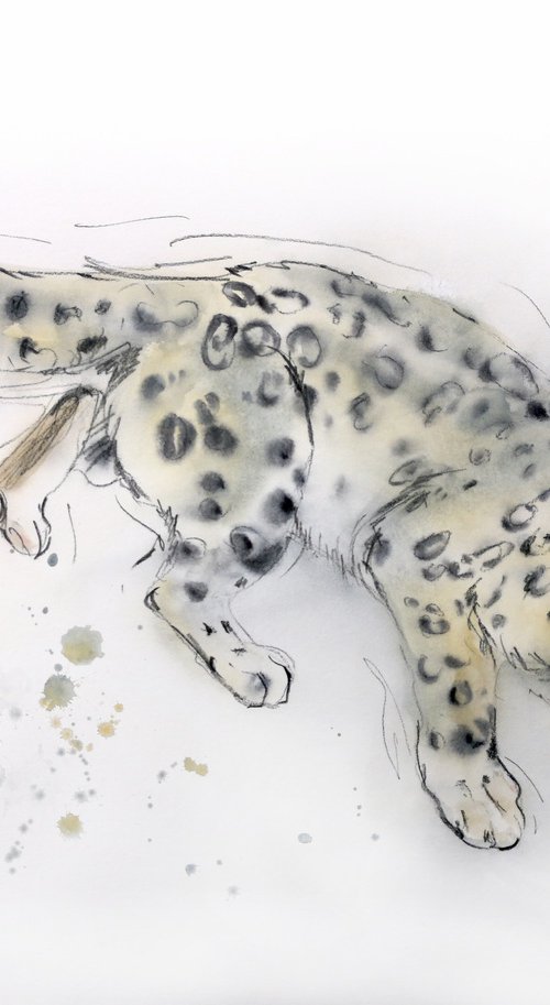 Snow leopard by Olga Beliaeva Watercolour