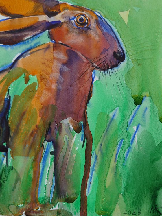 Alert in the Meadow
