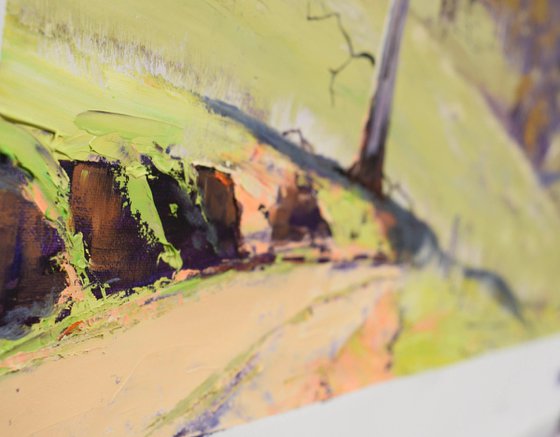 Road into the valley NSW