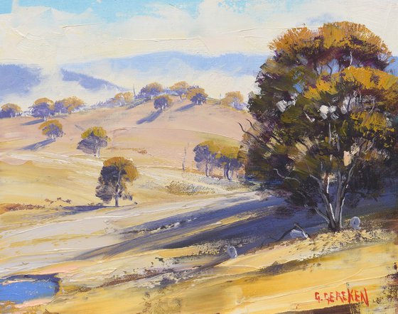 Golden Hilly Landscape  Mudgee