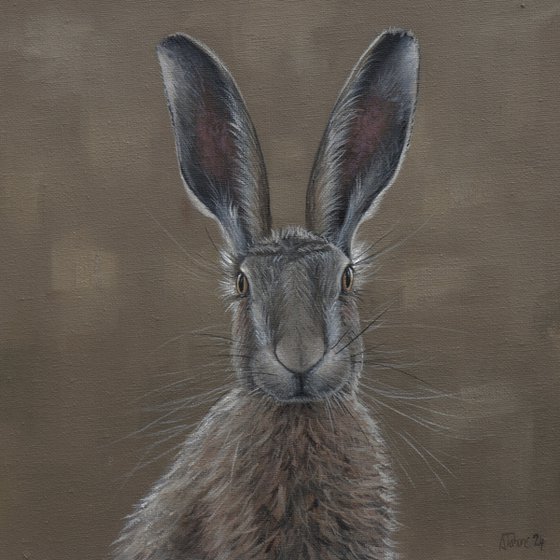 Portrait of a Hare I