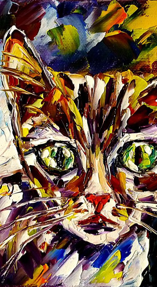 Big-eyed kitten by Mirek Kuzniar