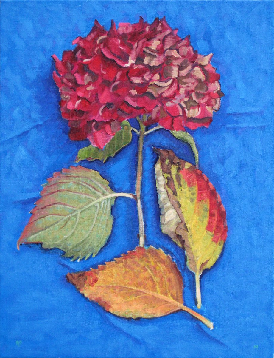 Botanical Oil Painting By Richard Gibson, 14 X 18", Hydrangea Flowerhead, Original Artwork