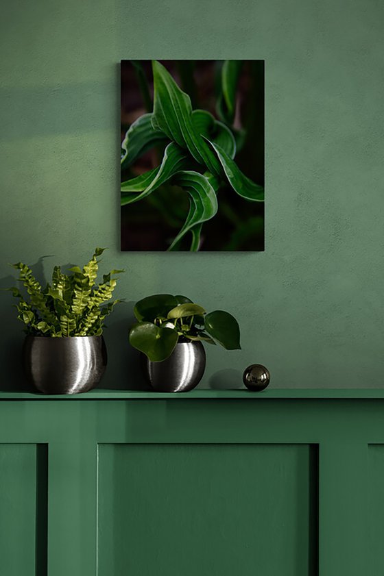 Interwoven Green