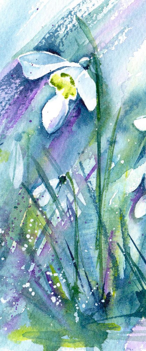 Snowdrops by Anjana Cawdell