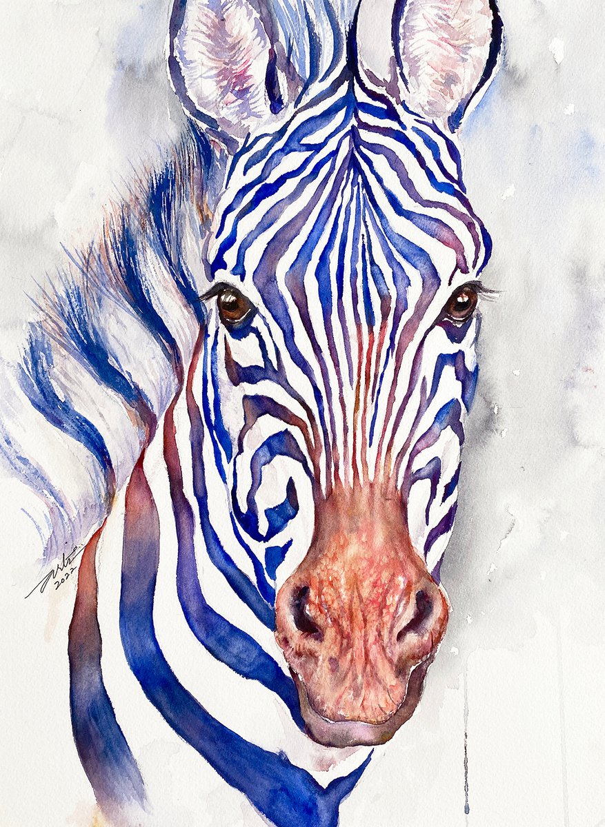 Zebra Calum by Arti Chauhan