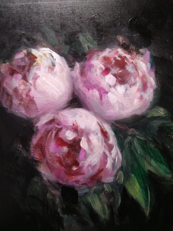 Pink Peonies