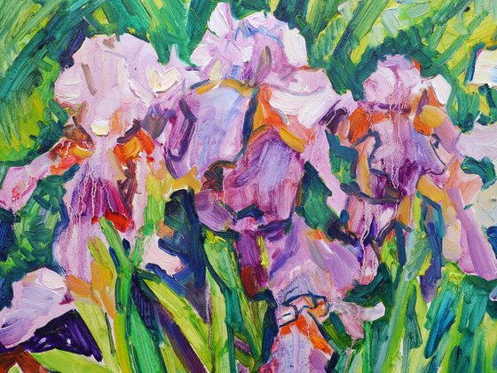 Violet Irises (plein air)