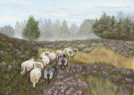 Yorkshire Landscape with sheep