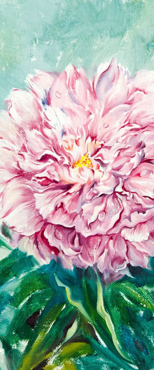 Peony by Daria Galinski