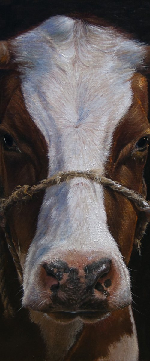 Elsie by Mayrig Simonjan