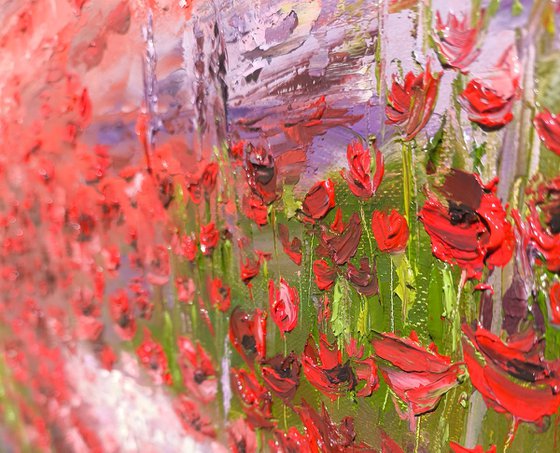 Scarlet Symphony
