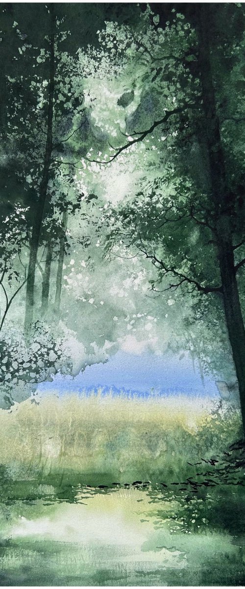 Sunlit Woodland Sanctuary by Nazar Grunyka