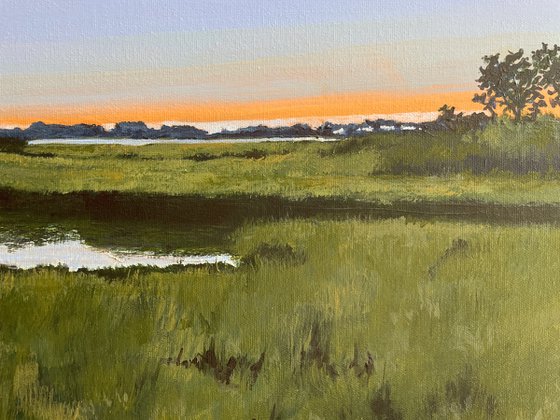 Marshland