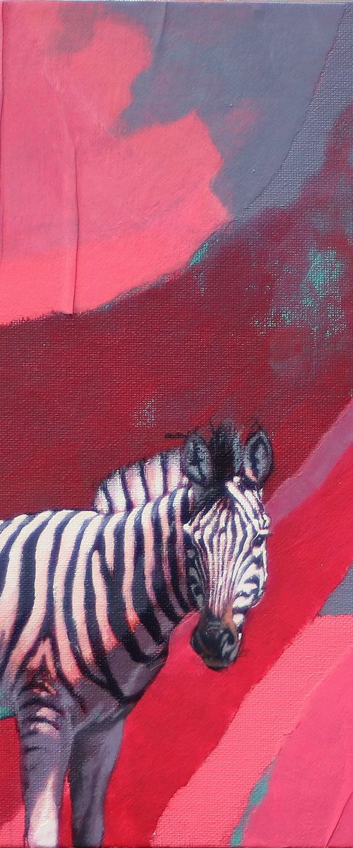 Pink Zebra by Heather Irvine