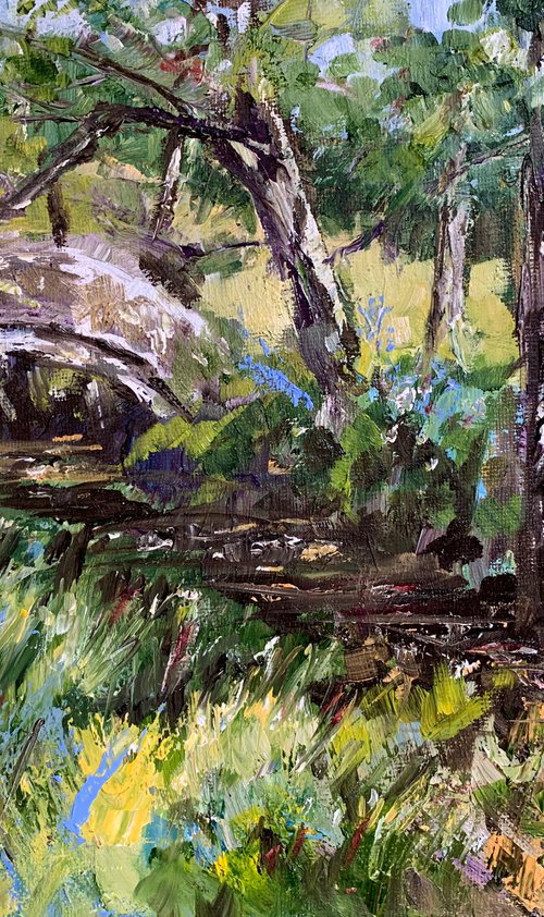 Packhorse Bridge and Bluebells by Andrew Moodie