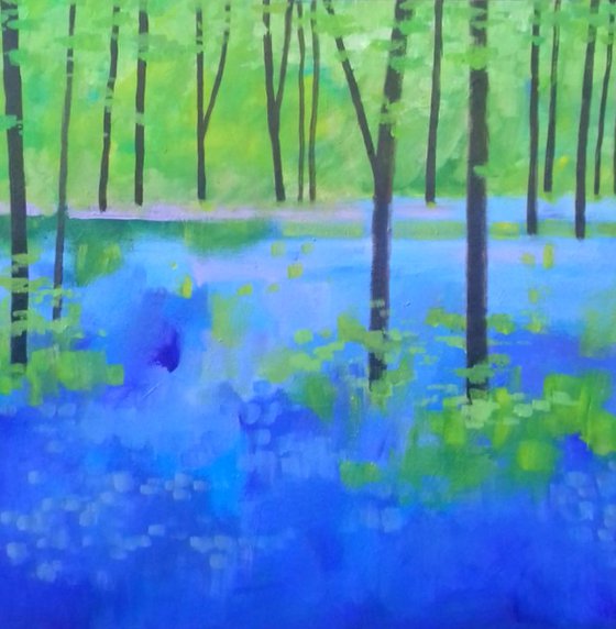 Bluebell Woods II