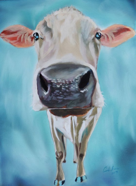 Cow