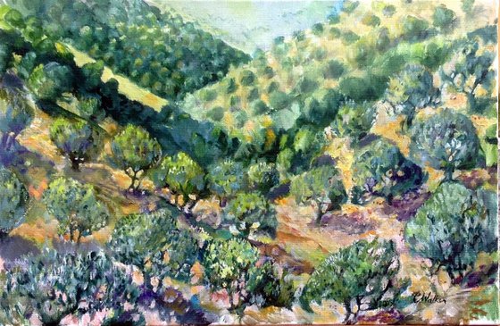 Oaks and Olive Trees in the Abéou Valley